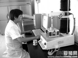 谷神生物 創新驅動發展，技術與產品動態全面解析
